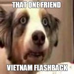 vietnam flashback dog Meme Generator - Imgflip
