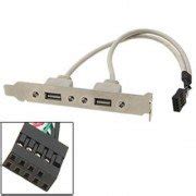 Motherboard Cable to 2 Port USB 2.0 Rear Panel Bracket : Amazon.in