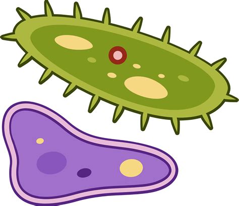 Microbe Clipart
