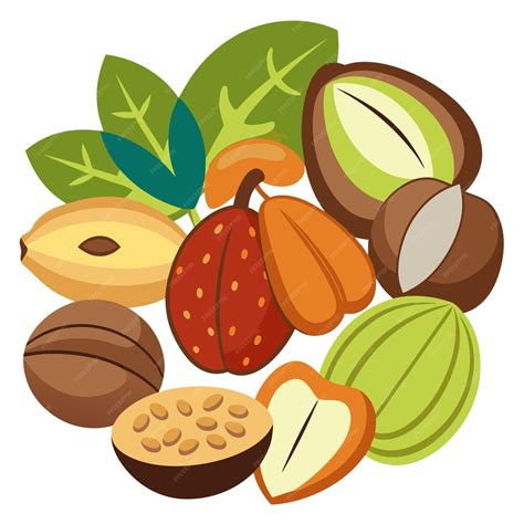 Set of different nuts clip art and Vector Design With White Background ...