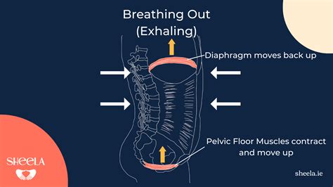 Pelvic Floor Breathing