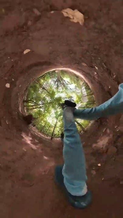 Image result for Insta360 Onex2 Tutorials