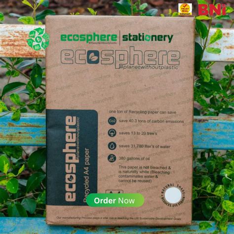 Model Matrix in Notebook 的图像结果