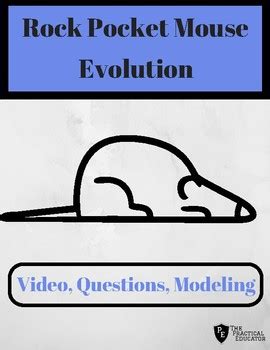 Image result for Pocket Mouse Evolution