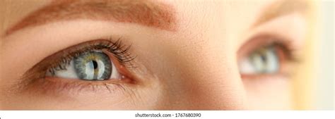 Image result for Observation Researcher