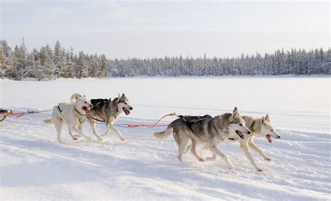 Finland With Ice Breaker Sic Tour 8 Nights 9 Days Holiday Tour Package ...