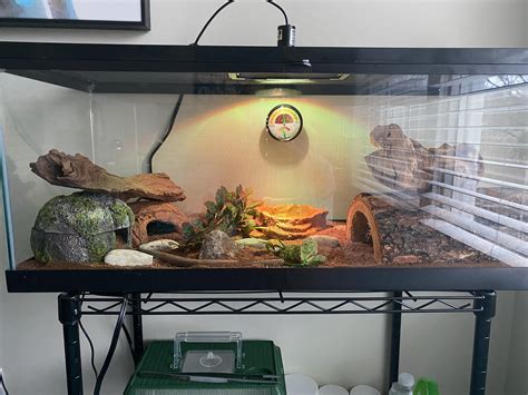 Image result for Ball Python Tanks