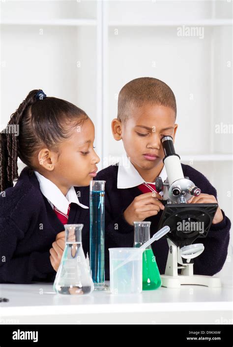 Image result for How To Use A Microscope For Elementary Students