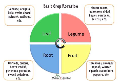 Image result for Crop Rotation