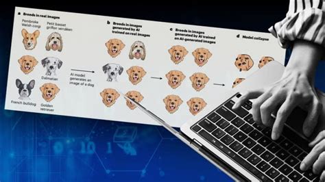 Model Collapse Explanation 的图像结果