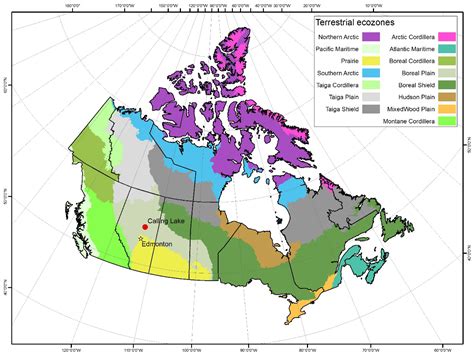 Plant Community Diversity and Tree Growth Following Single and Repeated ...