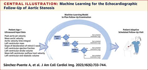 Machine Learning to Optimize the Echocardiographic Follow-Up of Aortic Stenosis | JACC ...