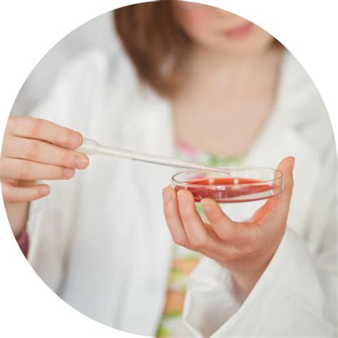 Labware Types 的图像结果