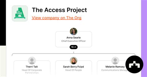 Image result for Access Project Extension