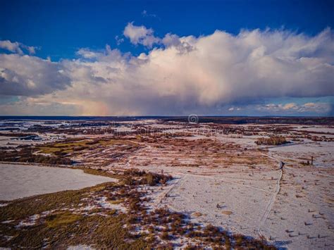 Image result for Aerial Spring