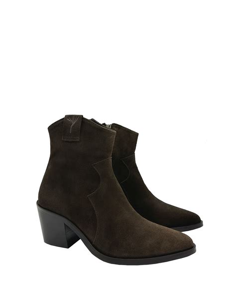 Image result for Texanas Castanhas Botim