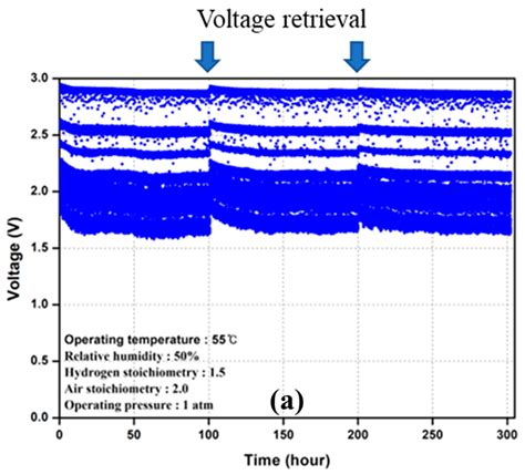 Investigation of Multiple Degradation Mechanisms of a Proton Exchange ...