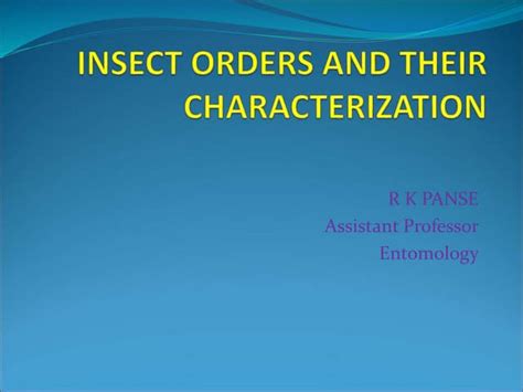 Image result for Classification of Class Insecta