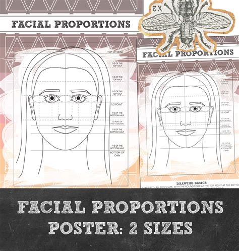 Image result for Face Proportion Drawing Lesson