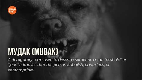 14+ Crazy Russian Swear Words And What They Mean [2025]