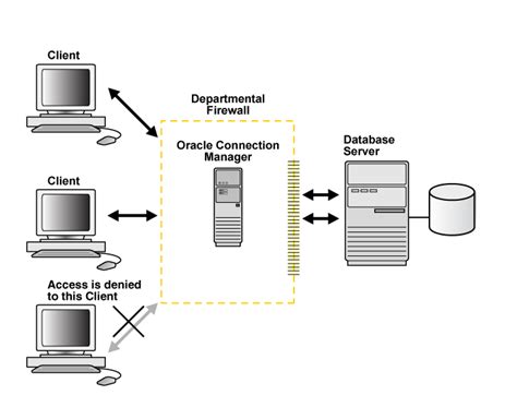 Net and Oracle Database 的图像结果
