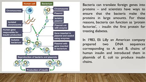 Biotechnology Bacteria 的图像结果