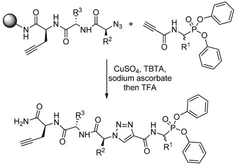 Recent Developments in Peptidyl Diaryl Phoshonates as Inhibitors and ...