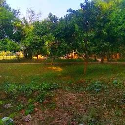 Best Top Rated Garden in Balaha, Bihar, India | Yappe.in