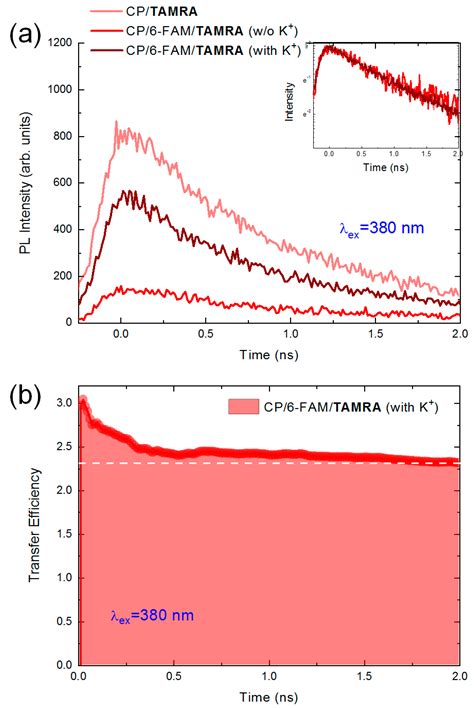 Two-Step Energy Transfer Dynamics in Conjugated Polymer and Dye-Labeled ...
