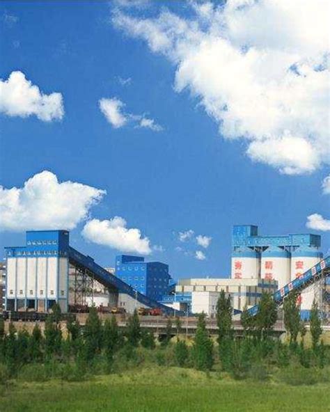 神华包头煤制烯烃项目 - 产品与服务 - 中石化宁波工程有限公司