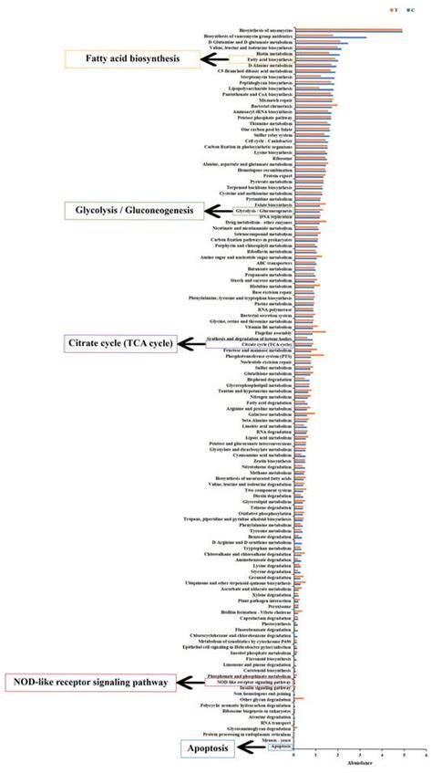 Antioxidants | An Open Access Journal from MDPI