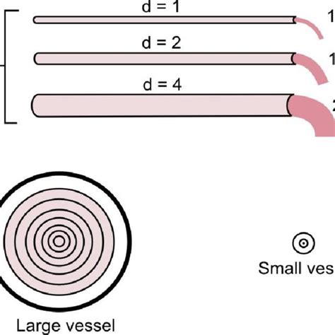 Image result for Gradient Resistance