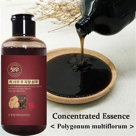 Jual Sampo Uban Paling Ampuh Shampoo Black Herbal Natural Polygonum ...