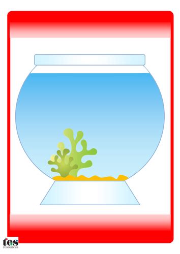 Image result for Colour Sort Fish