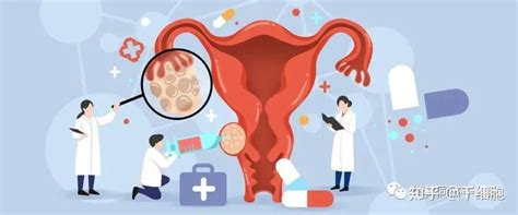 卵巢早衰患者通过TAA Medical统恩的干细胞干预，实现月经恢复，且成功受孕-TAA Medical统恩医学