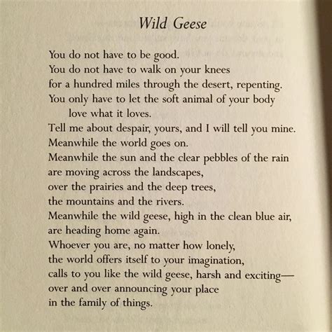 Wild Geese by Mary Oliver
