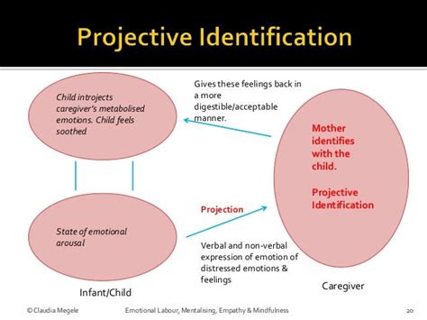 Projective Identification 的图像结果