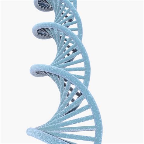 DNA 3D model - Download Free 3D models