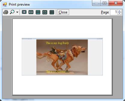 Print Form VB.NET 的图像结果
