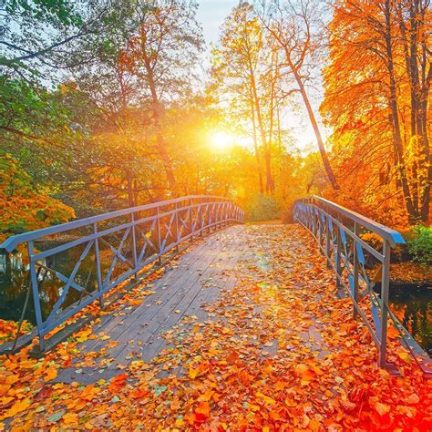 Auclair Funeral Home and Cremation Service | Fall River, MA