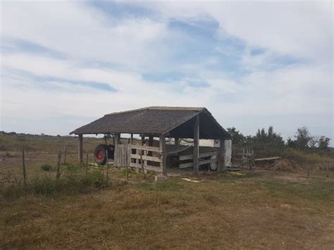 Sete Montpellier Tours - 2022 What to Know Before You Go (with Photos ...