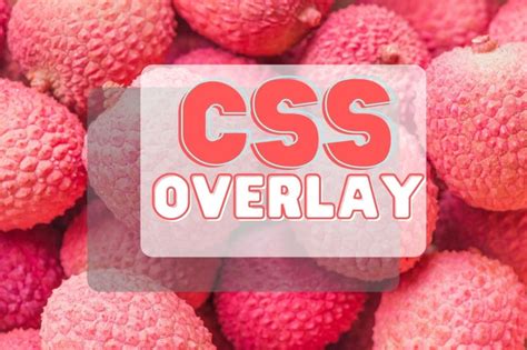 Image result for CSS Background Image Overlay