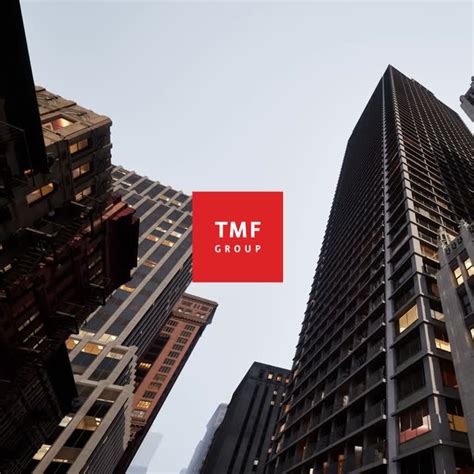 Image result for TMF Group Structure Chart