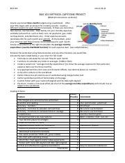 Image result for Excel Capstone Project for Software