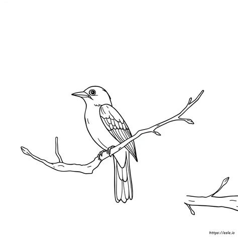 Iowa State Bird Coloring Page