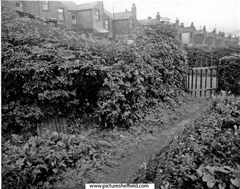 Searching Picture Sheffield