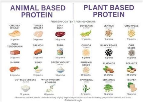 best animal protein for dogs with allergies