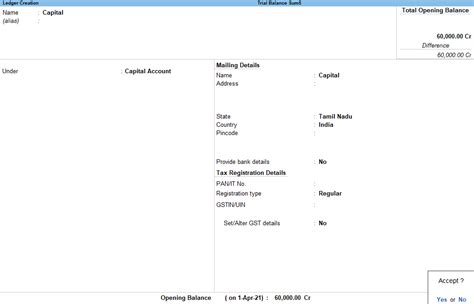 Example Trial Balance Tally Prime in Tamil