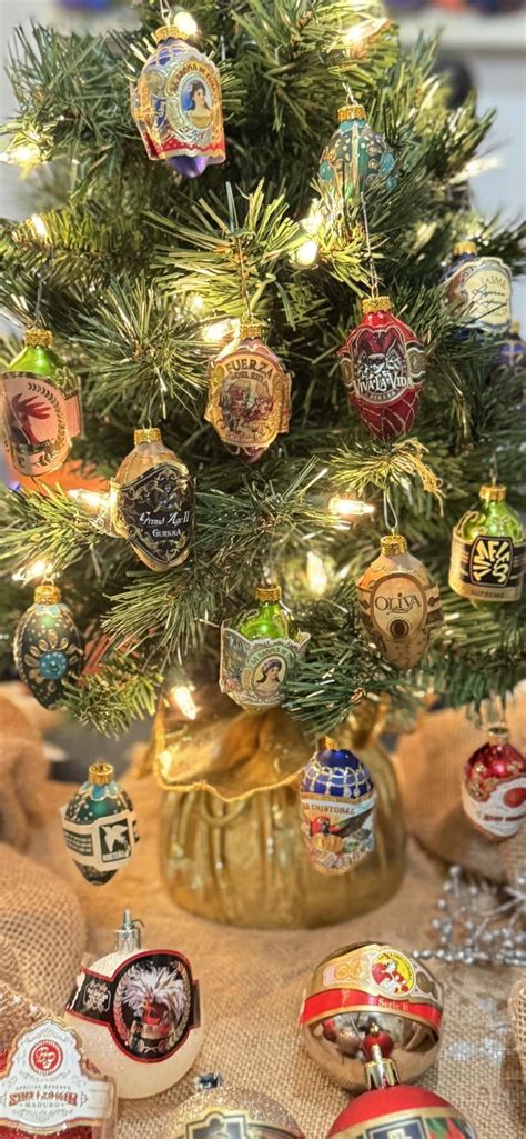 Cigar Tree 的图像结果