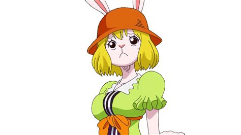 Carrot one piece r34: фотографии в высоком качестве